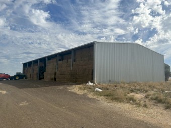 1000mt Wheat Straw 430kg 8x4x3 Bales