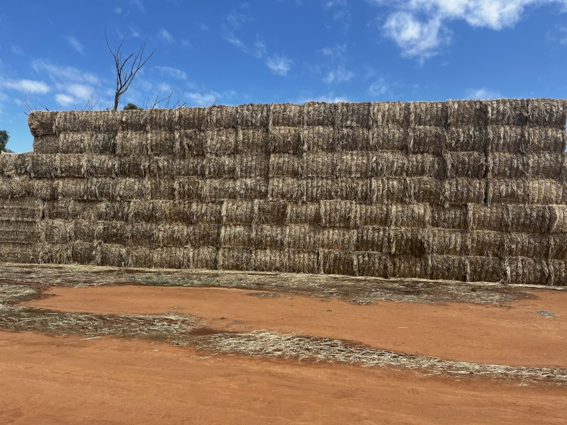 100mt Wheaten Straw 8x4x3 Bales