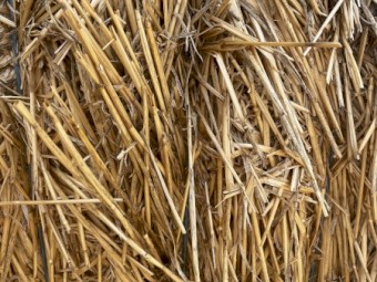 100mt Wheaten Straw 8x4x3 Bales