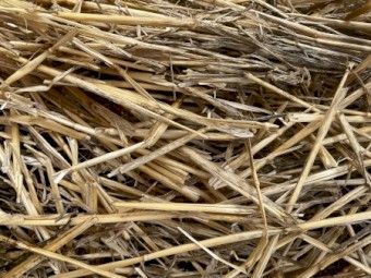 100mt Wheaten Straw 8x4x3 Bales