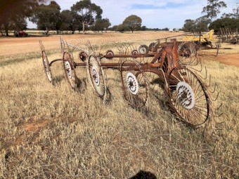 10 wheel V Rake