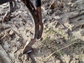 International 511 Combine