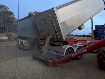 2009 Muscat 19m Stag Tippers