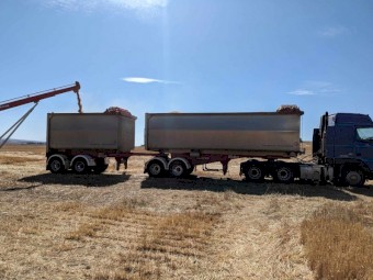 2009 Muscat 19m Stag Tippers