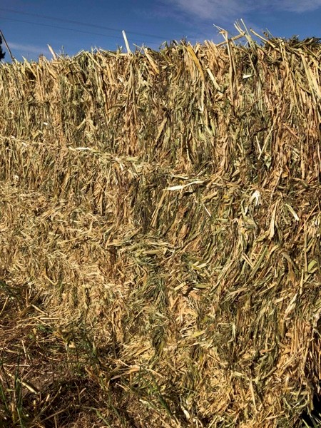 Oaten Hay 680kg 8x4x3 Bales