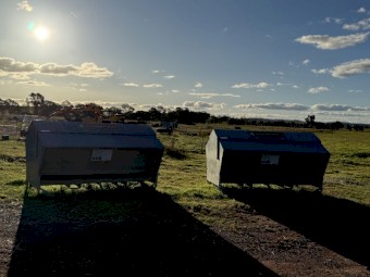 2 x Advantage feeders