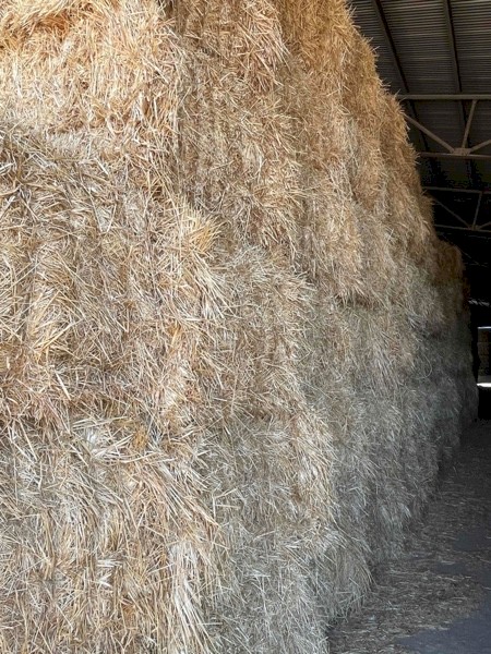 Oaten Hay Shedded