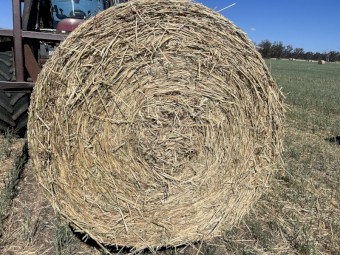A1 Wheat Hay Round Rolls x 300