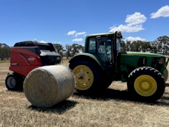 Ryegrass hay, feed test, delivery available