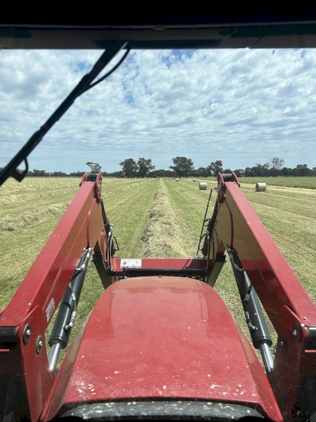 Rye Grass, Clover, Wheaten Round Rolls