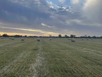 Rye Grass, Clover, Wheaten Round Rolls