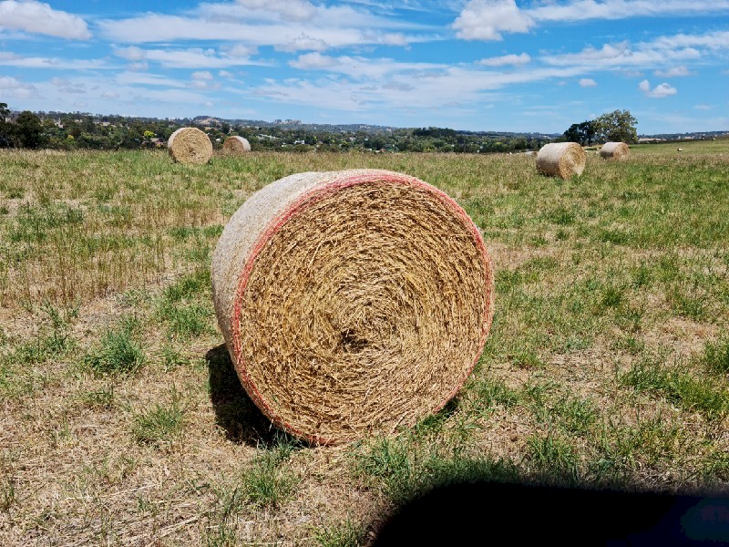 New Season’s Pasture Hay Rolls