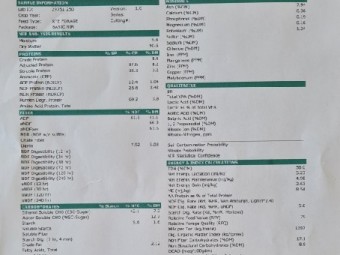 New Season’s Pasture Hay Rolls