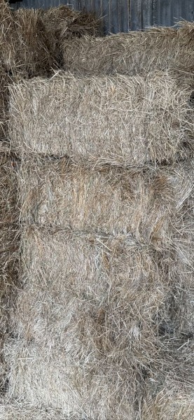 Pasture Hay