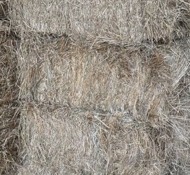 Pasture Hay