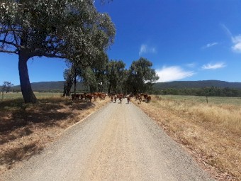 WANTED Land lease Short or Long Term