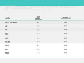 Lucerne Hay 8x4x3 Bales