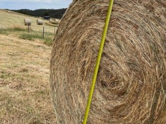 Pasture Hay Large Rounds 