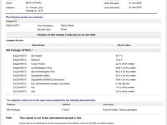 2019 windrowed barley straw 