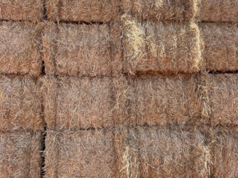 Windrowed Wheaten Straw 8x4x3 Bales