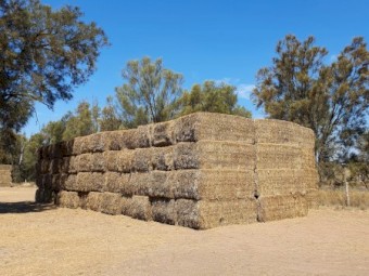 Hay for sale