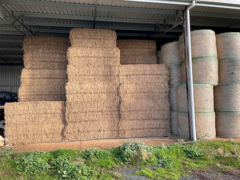 100mt Vetch Hay 8x4x3 Bales