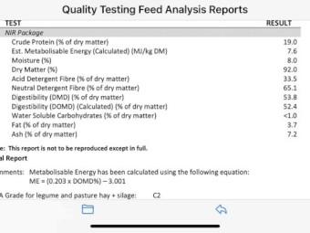 100mt Vetch Hay 8x4x3 Bales