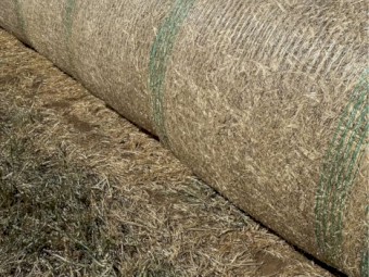 Rye Pasture and Clover Hay 4x4 Rolls