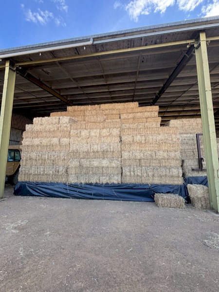 7500 x Lucerne Hay Small Squares