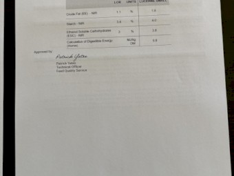 7500 x Lucerne Hay Small Squares