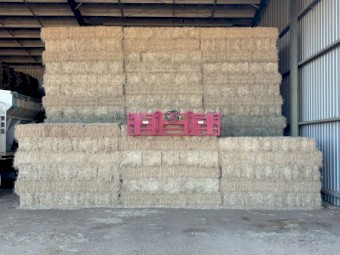 7500 x Lucerne Hay Small Squares