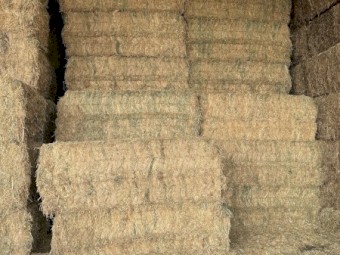 WANTED Fodder and Grain for the Grampians Fire