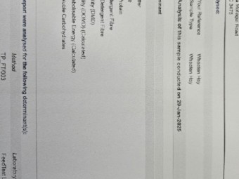 Wheaten Hay 675kg 8x4x3 Bales