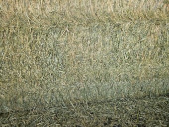 Wheaten Hay 675kg 8x4x3 Bales