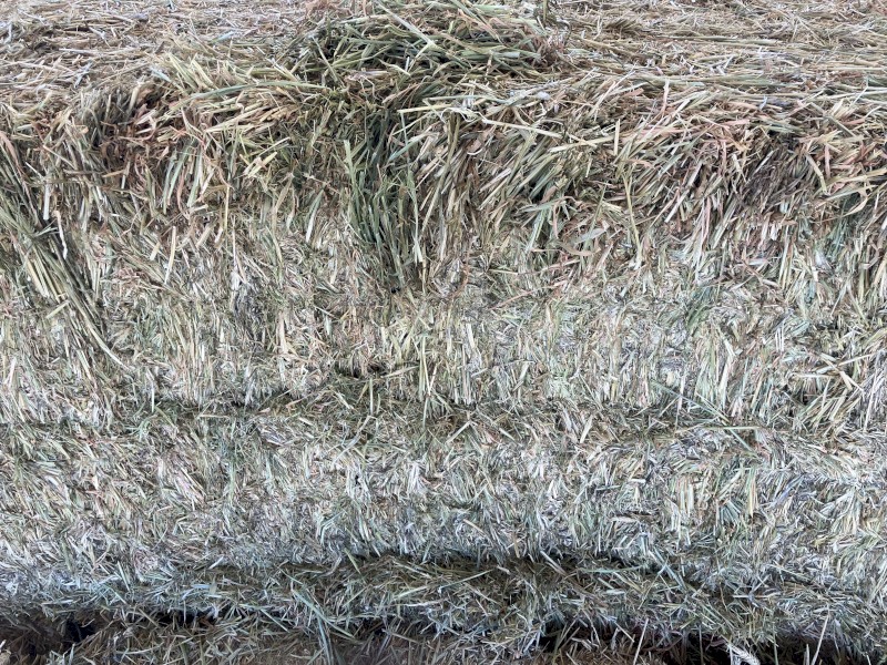 550mt Barley Hay 630kg 8x4x3 Bales