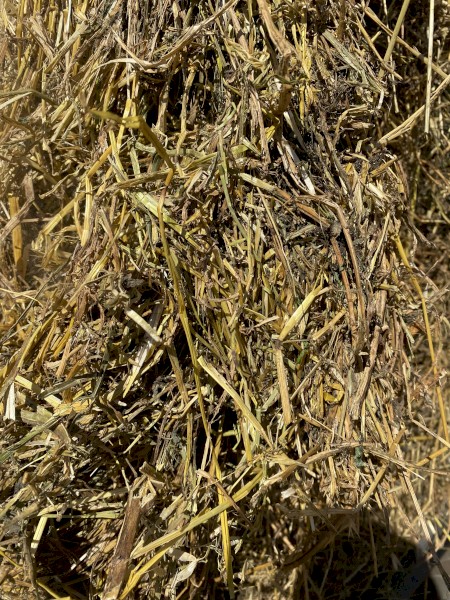 Lucerne and Ryegrass Mix Hay 8x4x3 Bales (New Season 22/23)