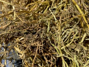 Lucerne and Ryegrass Mix Hay 8x4x3 Bales (New Season 22/23)
