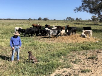 WANTED Agistment or Lease