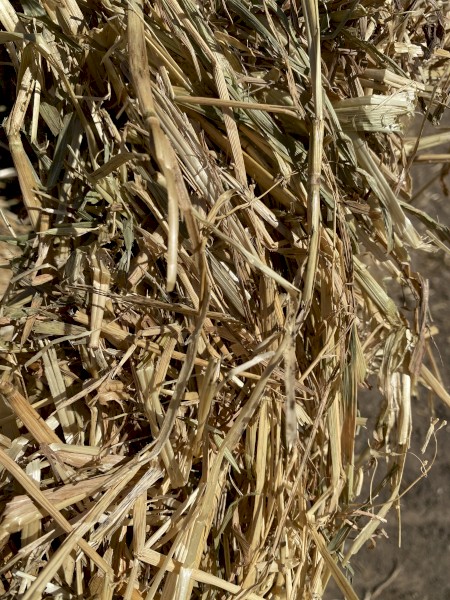 50mt Oaten Hay 520kgs 8x4x3 Bales