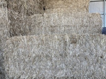 50mt Oaten Hay 520kgs 8x4x3 Bales