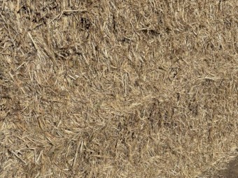 50mt Oaten Hay 520kgs 8x4x3 Bales