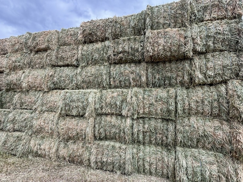 Oaten Hay