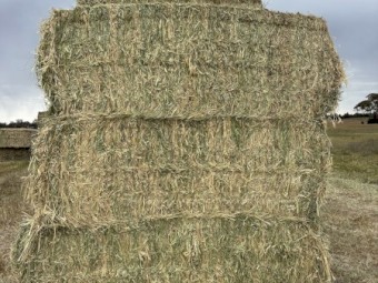 Oaten Hay