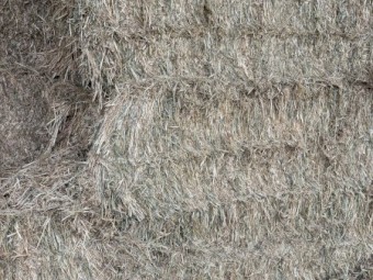 Oaten Hay