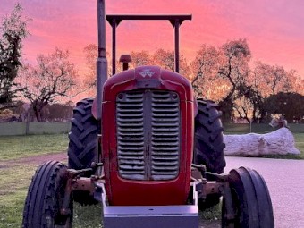 Reconditioned - Massey Ferguson 35 Gold Belly Tractor (4cyl diesel) 