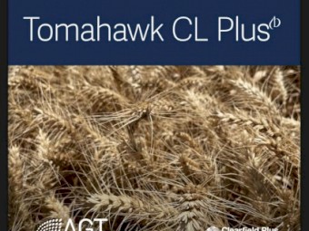 WANTED 10mt Wheat Seed