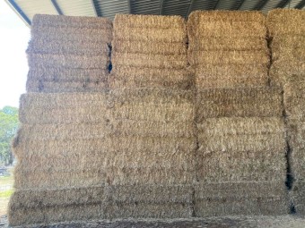 Pasture Hay Clover/Rye 8x4x3 Shedded