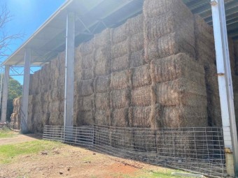 Pasture Hay Clover/Rye 8x4x3 Shedded