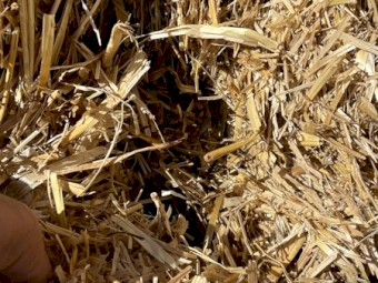 1000mt 23/24 New Seasons Barley Straw