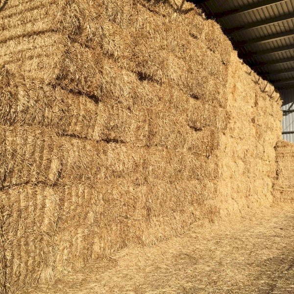 Oaten Straw